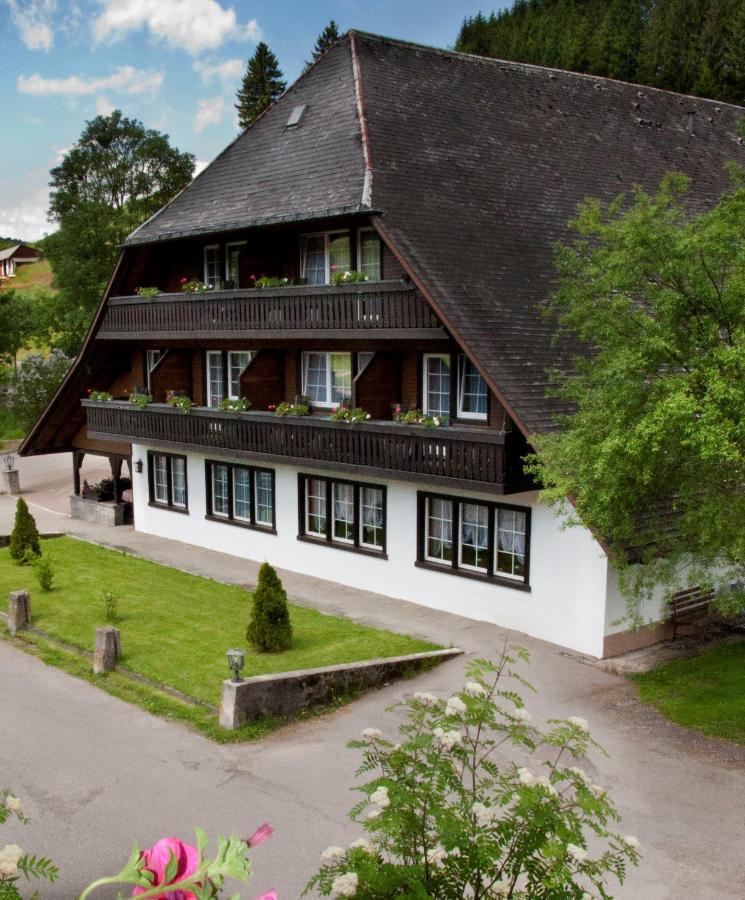 Hotel Zum Loewen - Unteres Wirtshaus 티티제-노이슈타트 외부 사진