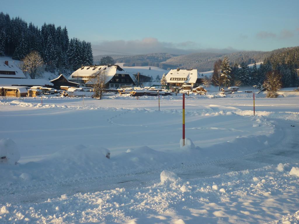 Hotel Zum Loewen - Unteres Wirtshaus 티티제-노이슈타트 외부 사진