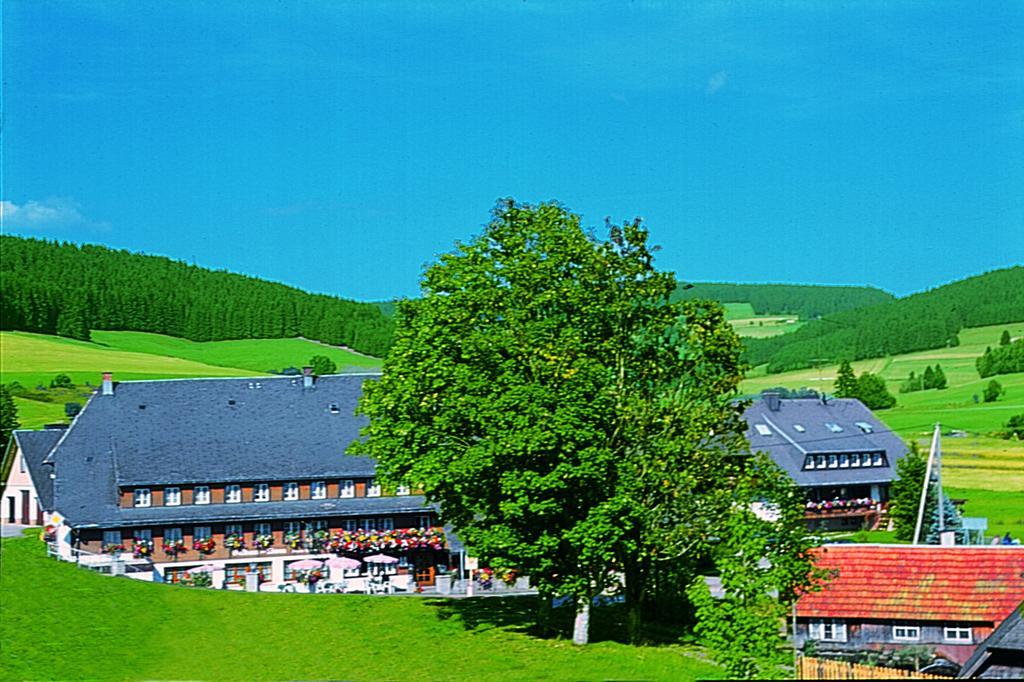 Hotel Zum Loewen - Unteres Wirtshaus 티티제-노이슈타트 외부 사진