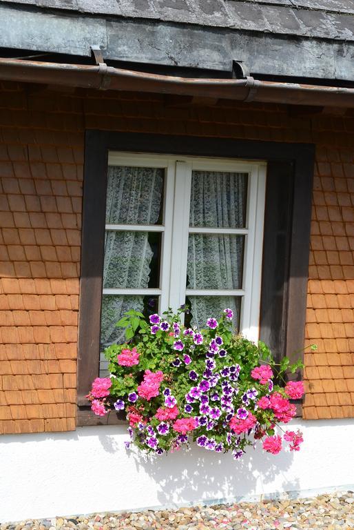 Hotel Zum Loewen - Unteres Wirtshaus 티티제-노이슈타트 외부 사진